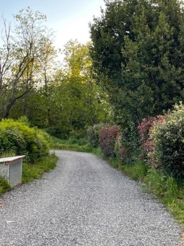 Appartamento Il Picchio Verde Altopascio Extérieur photo