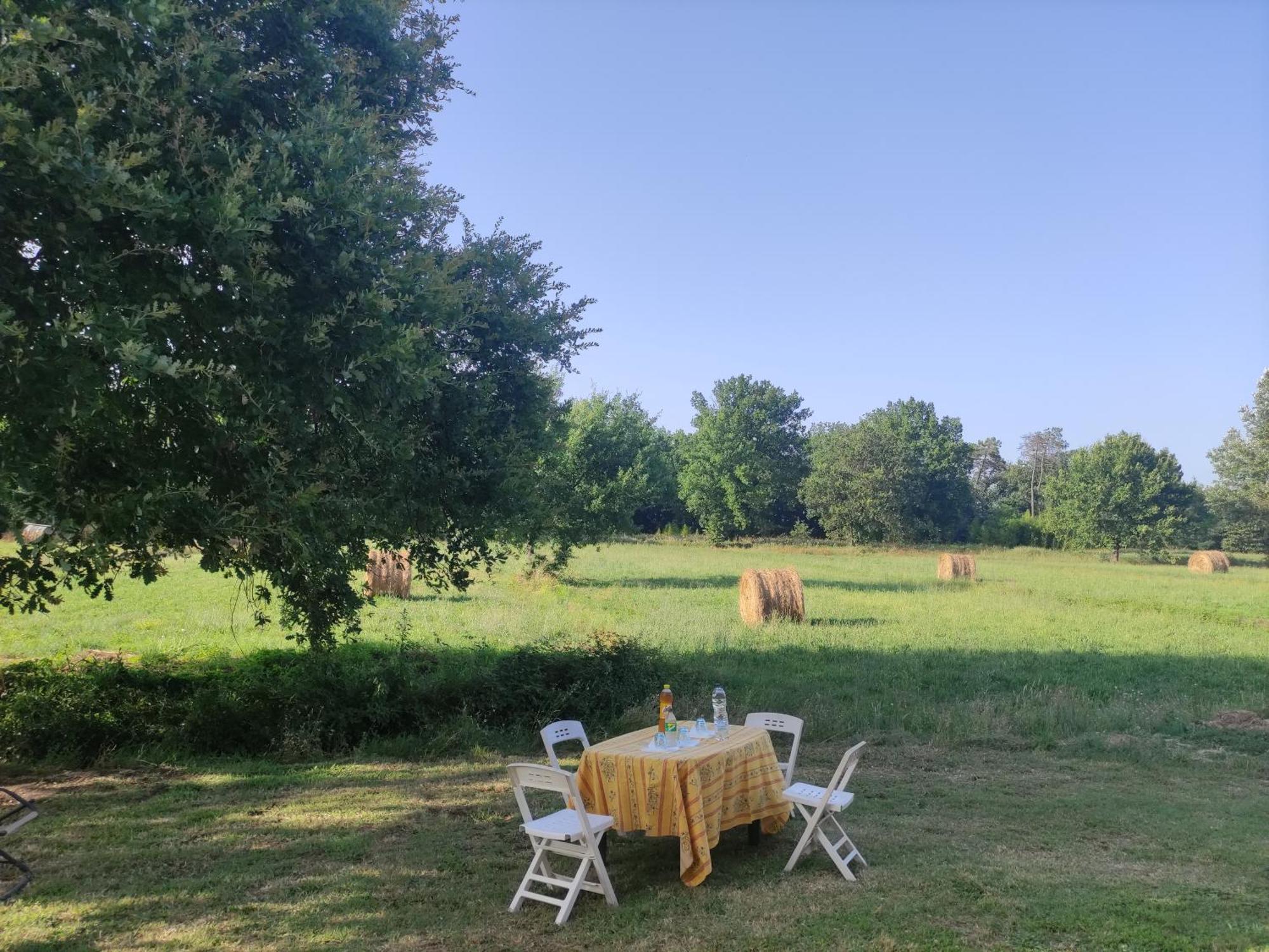 Appartamento Il Picchio Verde Altopascio Extérieur photo