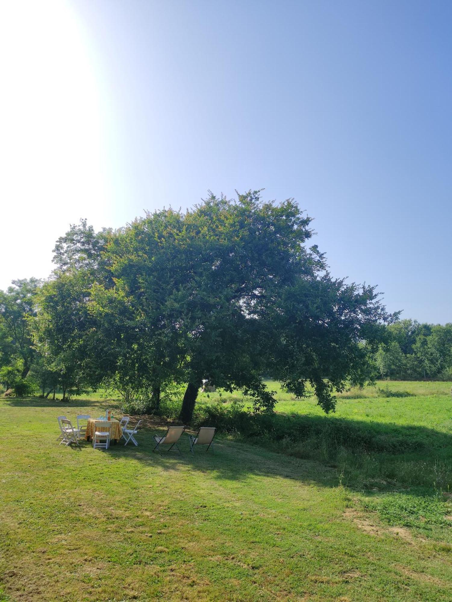Appartamento Il Picchio Verde Altopascio Extérieur photo